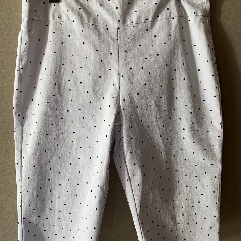 knee length pants 6P
